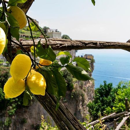 Hotel La Pergola Amalfi Exterior foto