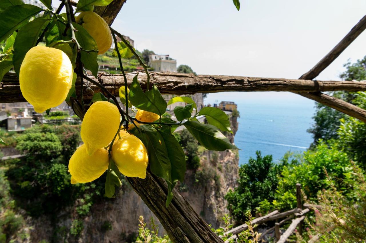Hotel La Pergola Amalfi Exterior foto