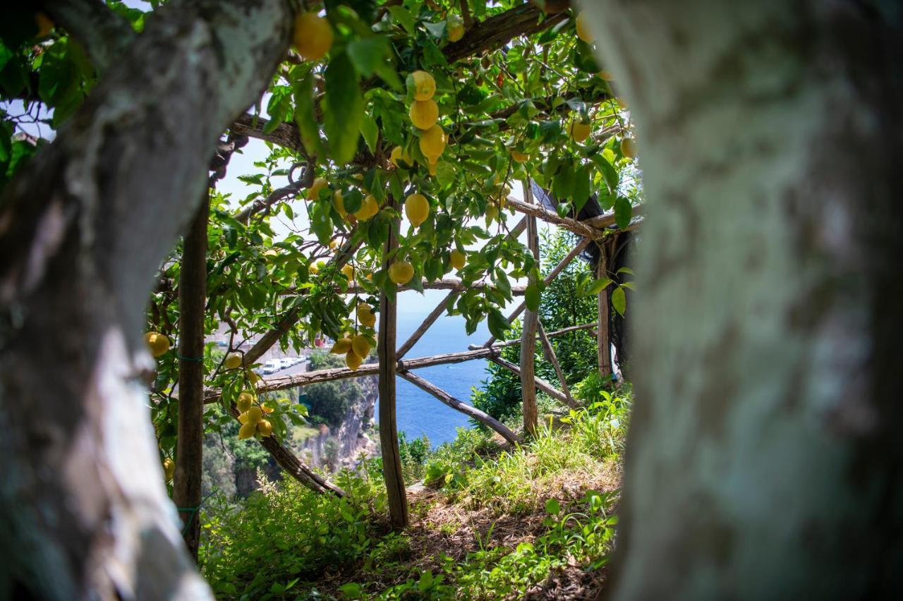 Hotel La Pergola Amalfi Exterior foto