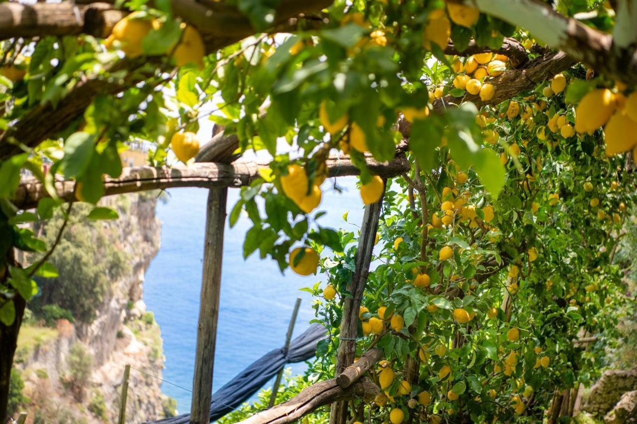 Hotel La Pergola Amalfi Exterior foto