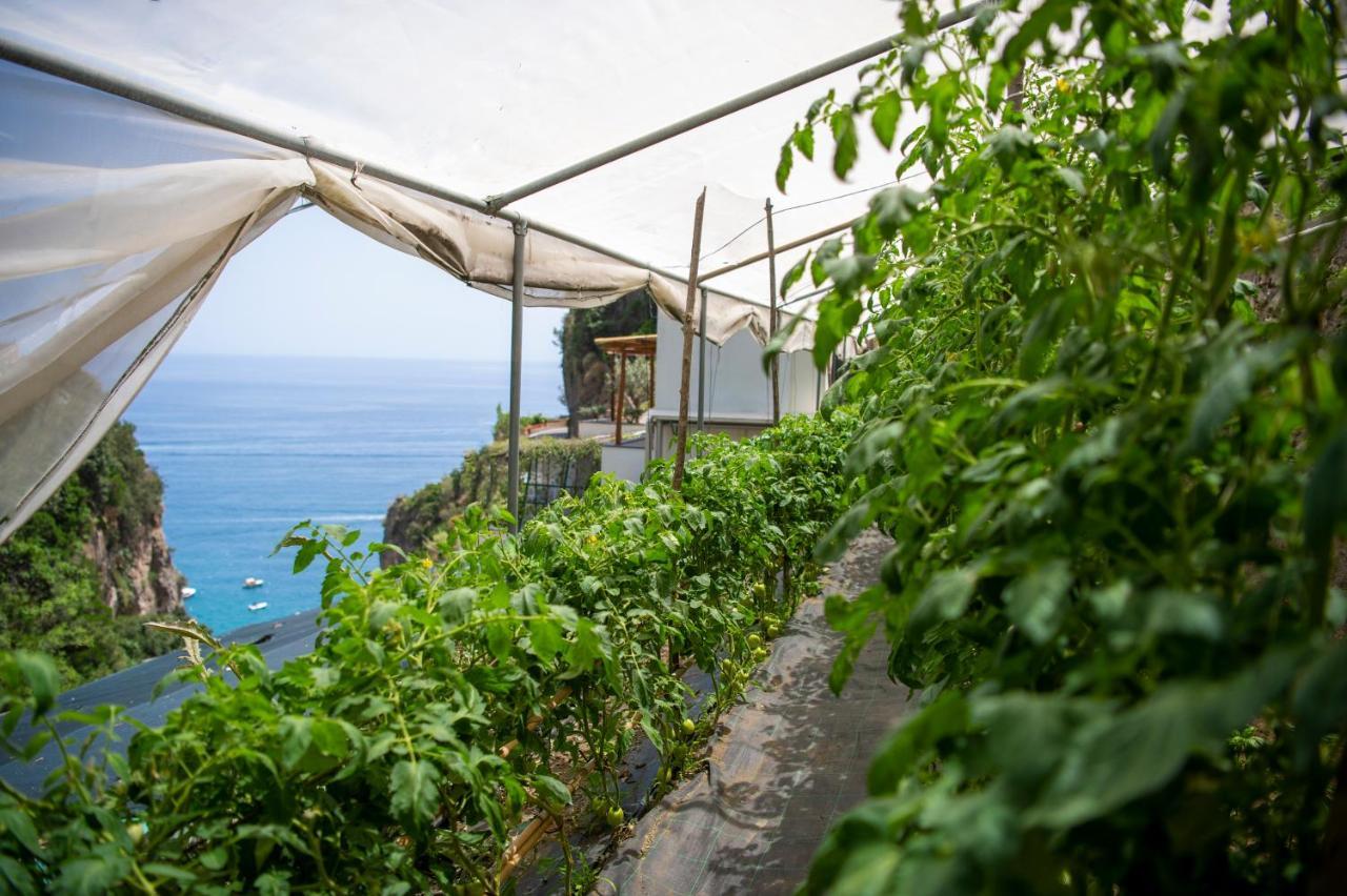 Hotel La Pergola Amalfi Exterior foto